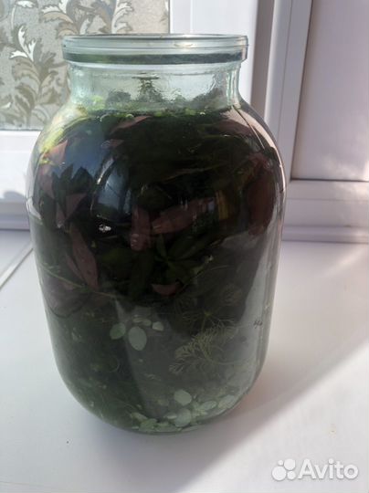 Аквариумная прополка