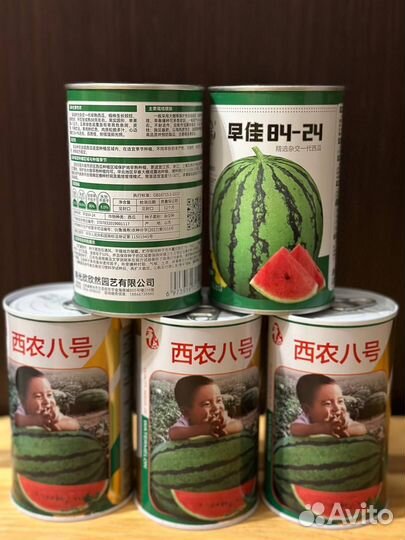 Продам семена арбузов 