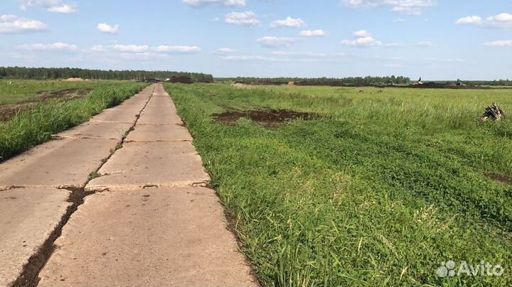 Торф удобрение