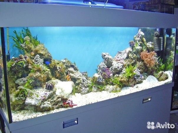 Аквариумы от5 д1500л