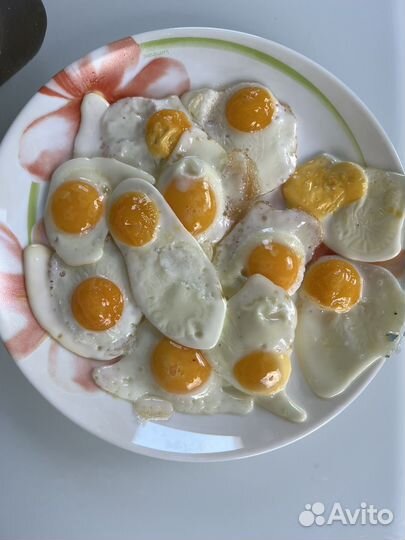 Яйца перепелиные домашние