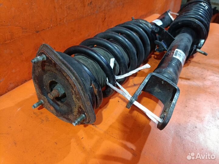 Амортизатор передний Nissan Fuga PY50