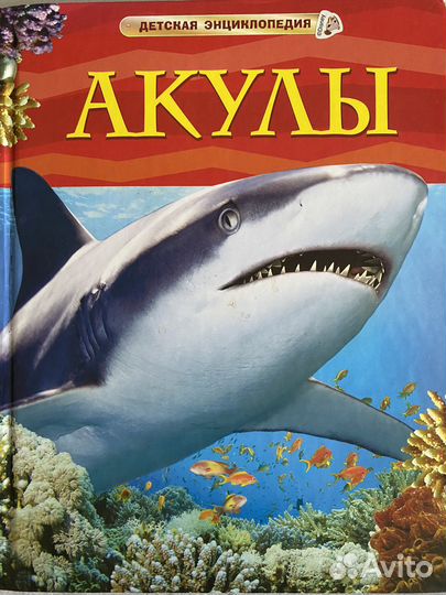 Книги для школьников