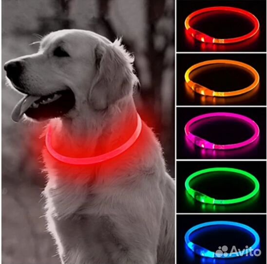 Светодиодный ошейник