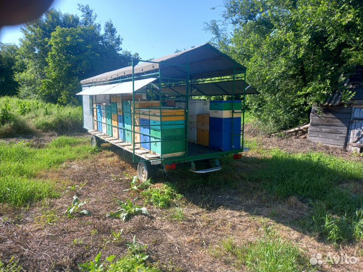 Пчелоприцеп Прицеп для пчел Улья Медогонка