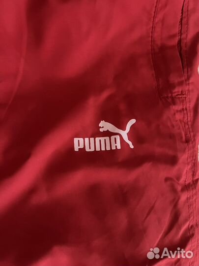 Горнолыжные брюки xs