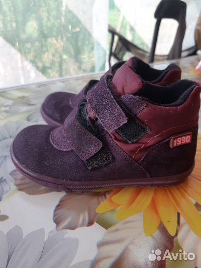 Ботинки Dandino