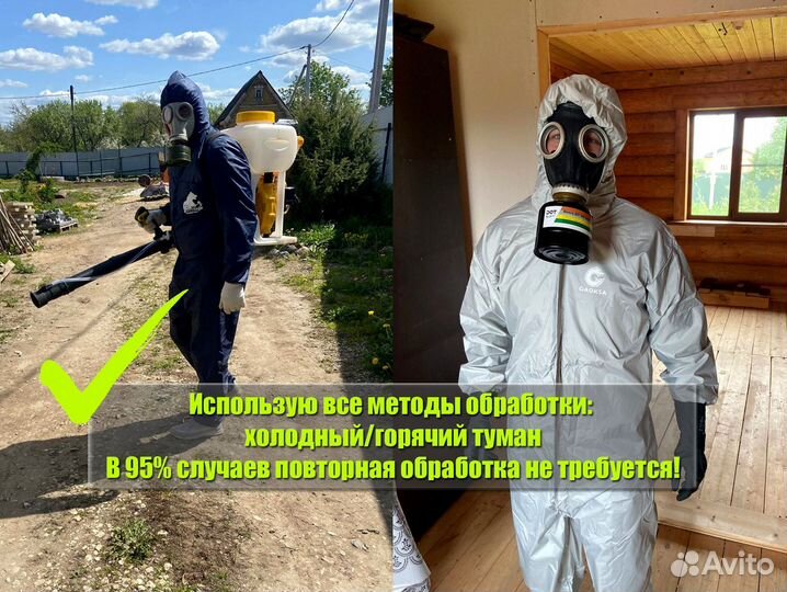 Уничтожение клопов, тараканов, плесени