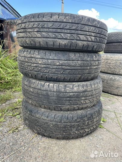 Accelera PHI R NPM 3.75/6 R13