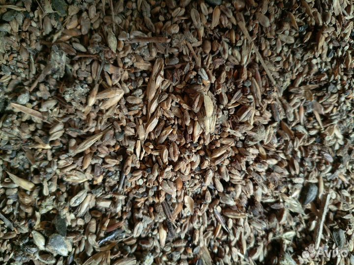 Зерновые отходы