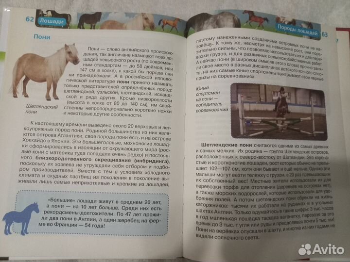 Книги про лошадей