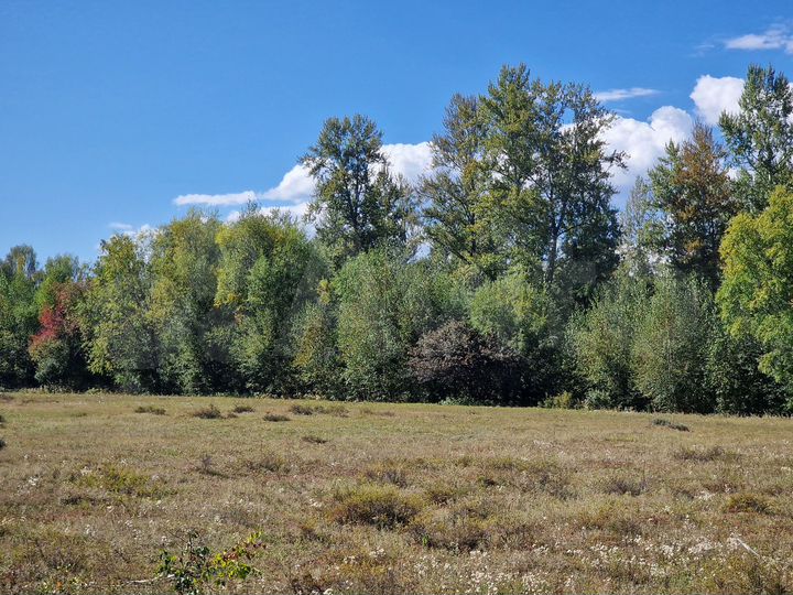 Участок 10 сот. (СНТ, ДНП)