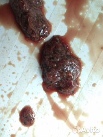 Артемия свежая взрослая(корм 500г)