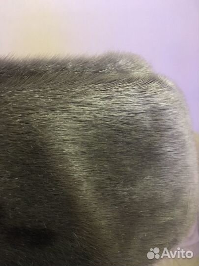 Мужская меховая кепка