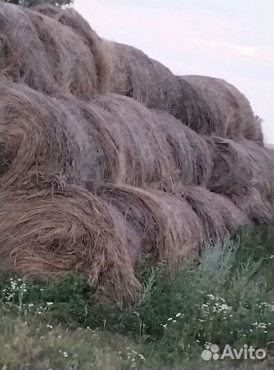 Сено в рулонах