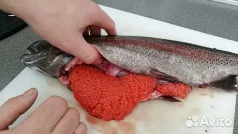 Живая рыба оптом раки