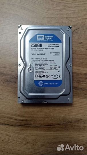 Жесткий диск WD 250gb