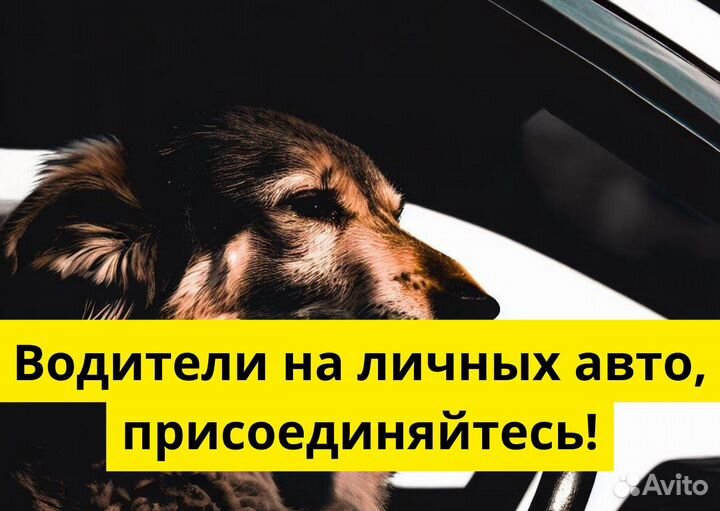 Подработка с автомобилем в Яндекс Go
