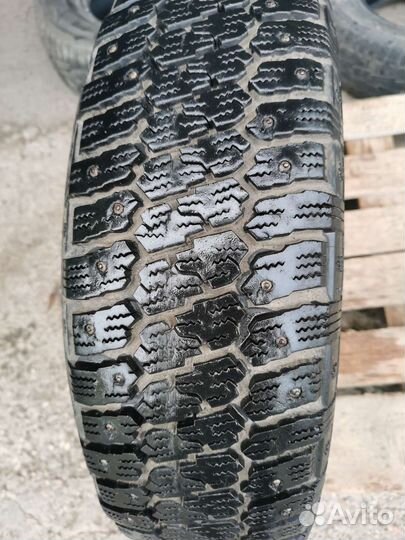 Gislaved Nord Frost 65Q 205/65 R15 94Q