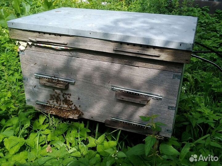 Ульи лежаки с пчелами и пустые