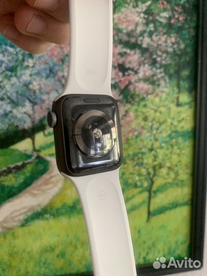 Apple watch series 5
