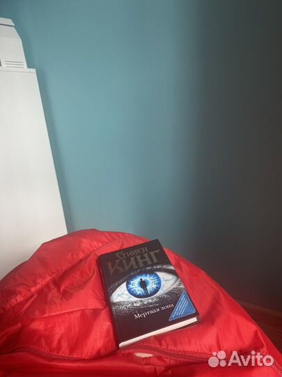 Стивен Кинг мертвая зона