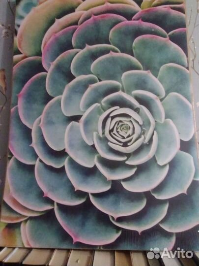 Картина постер IKEA