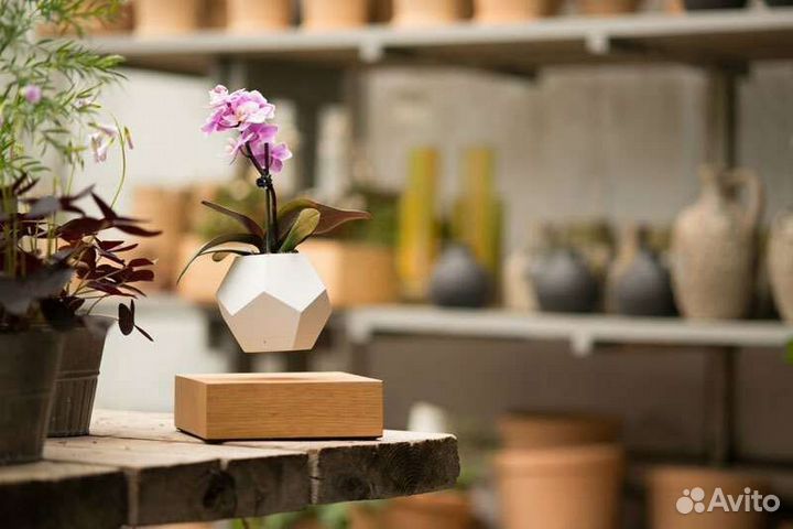 Левитирующий горшок lyfe