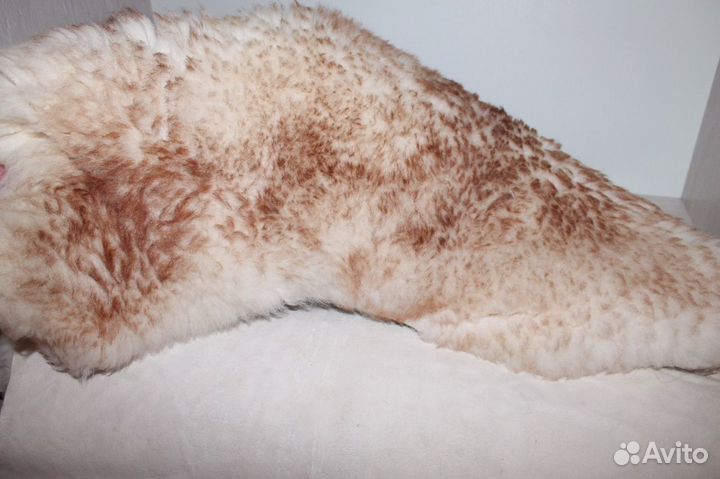 Ковер Шкура овчина Германия