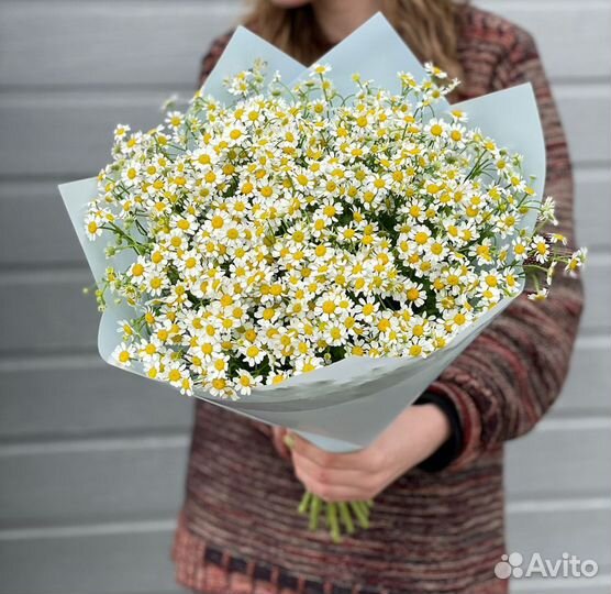 Букет цветов из полевых ромашек