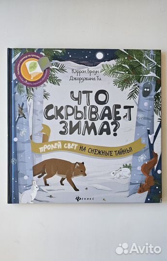 Книга Что скрывает зима