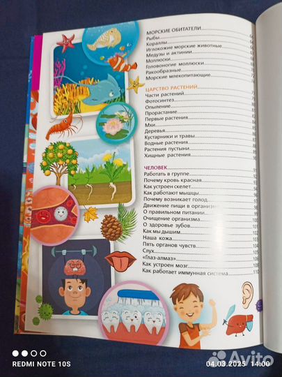 Большая иллюстрированная энциклопедия дошкольника