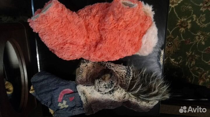 Комбенизон для той-терьера