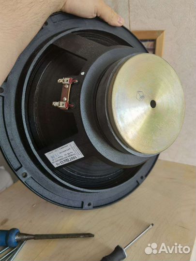 Напольная акустика 100гдш33-16