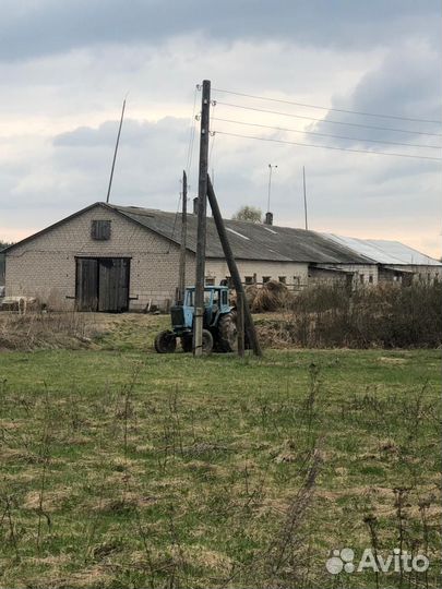 Продам ферму
