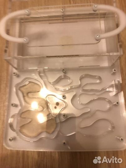 Формикарий муравьиная ферма