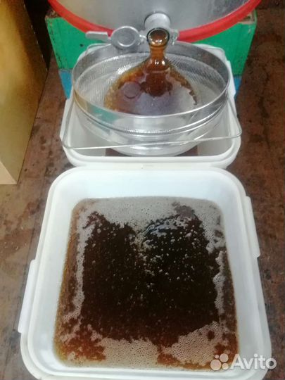 Продам пчел, отводки, пакеты