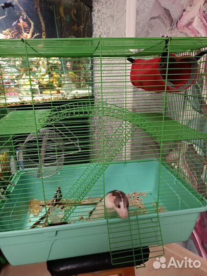 Продам большую клетку для грызунов