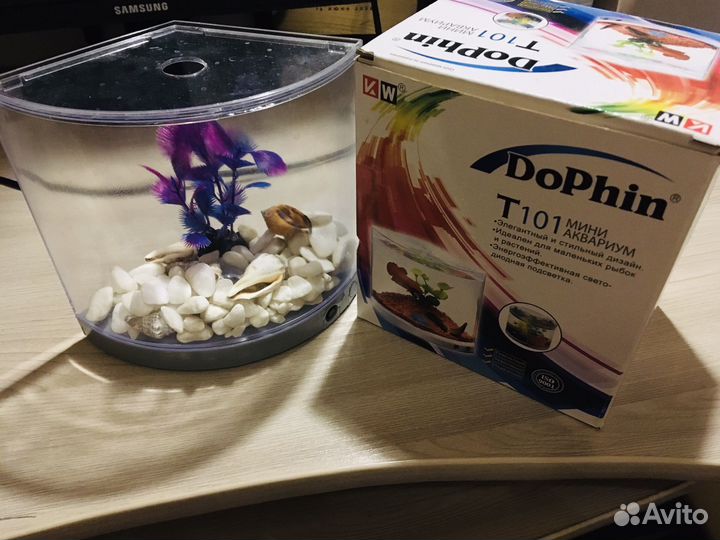 Аквариум для петушка