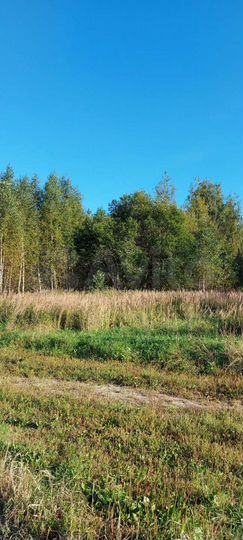 Участок 20 сот. (ИЖС)