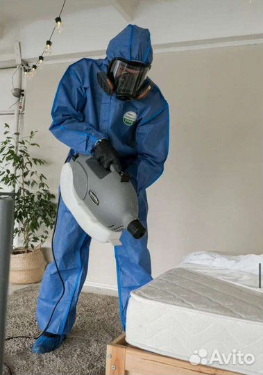 Дезинсекция