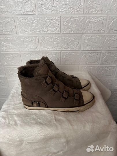 Кеды Ash оригинал