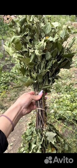 Веники для бани деревенские