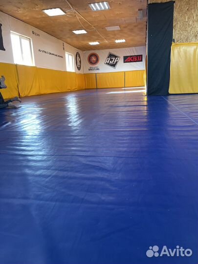 Грепплинг джиу джитсу