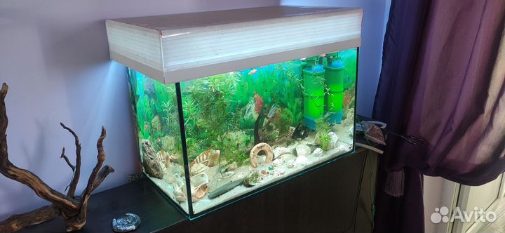 Аквариум 55 литров, фильтр,грунт, светильник