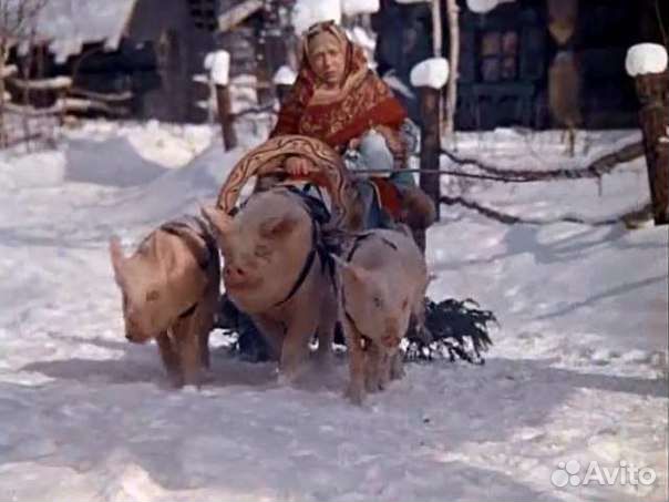 Водитель Еврофуры