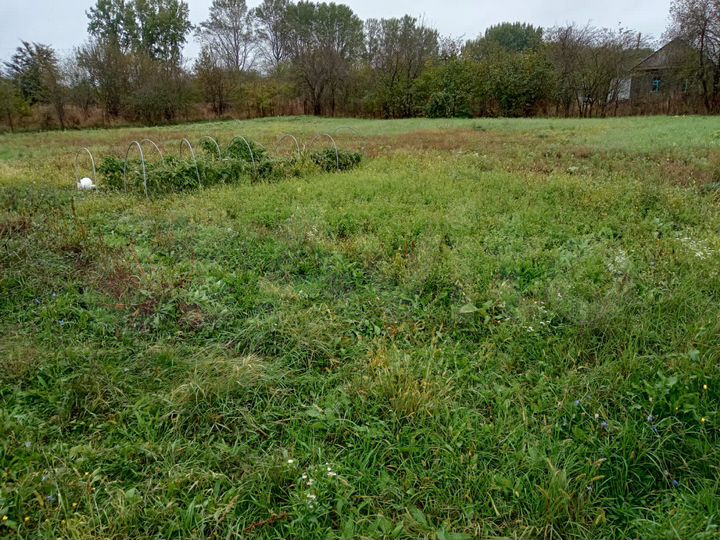 Участок 10 сот. (СНТ, ДНП)