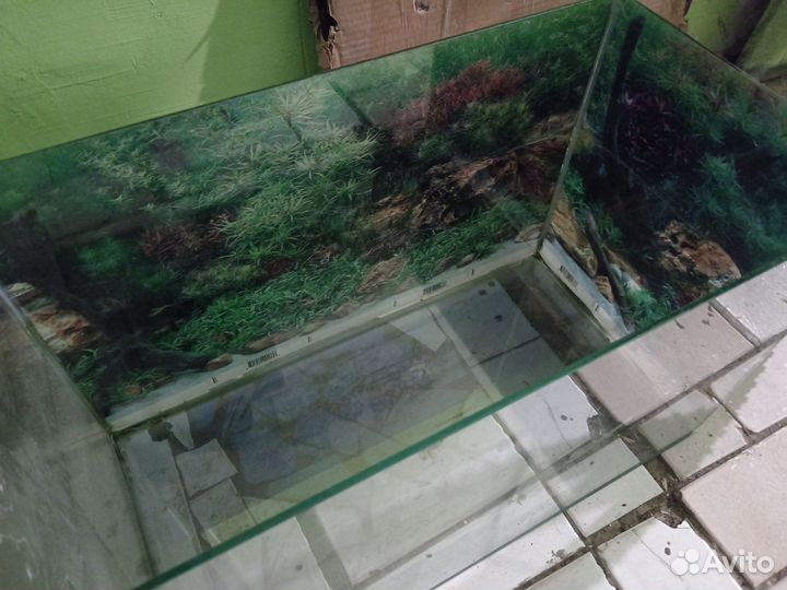 Аквариум