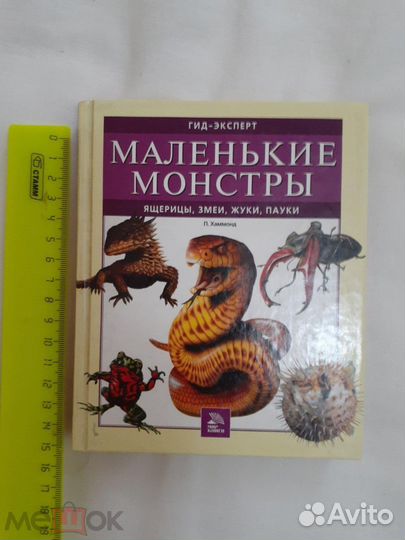 Маленькие монстры - жуки. змеи. пауки