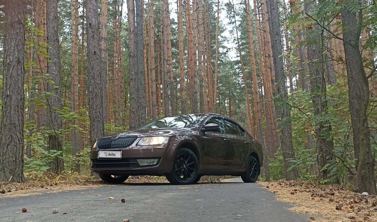 Skoda Octavia: фото владельца